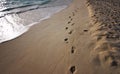 Sunrise footprints on the shor