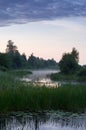 Sunrise in the forest by the lake. Morning by the lake. Morning fog by the lake Royalty Free Stock Photo