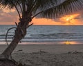 Sunrise, Four Mile Beach, Port Douglas, QLD, Australia Royalty Free Stock Photo