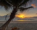 Sunrise, Four Mile Beach, Port Douglas, QLD, Australia Royalty Free Stock Photo