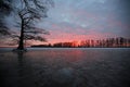 Sunrise on frozen Reelfoot Lake Royalty Free Stock Photo