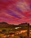 Sunrise Gila river Arizona Royalty Free Stock Photo