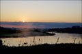 Sunrise in the golf club with mist and migration birds in a pond Royalty Free Stock Photo