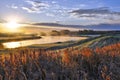 Sunrise in the golf course with migration birds Royalty Free Stock Photo