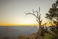 Sunrise at the Grand Canyon in Arizona, USA Royalty Free Stock Photo