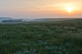 Sunrise and grassland