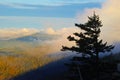 Fog rolls over a mountain at sunrise in the Smokies. Royalty Free Stock Photo