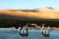 Sunrise in Hanle Royalty Free Stock Photo