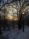 Sunrise after heavy snow in Slottsskogen Royalty Free Stock Photo