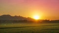 Sunrise in the hill and rice field