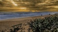 Sunrise on the Horizon as Tourists Enjoy the Beach Royalty Free Stock Photo