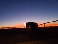 Sunrise horse barn Oklahoma Royalty Free Stock Photo