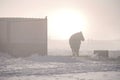 Sunrise with a horse Royalty Free Stock Photo