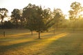 Sunrise in Hunter valley