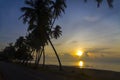 Sunrise idyllic with shadow of group coconut on beach