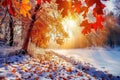 Sunrise illuminates frosty autumn leaves and a snowy landscape in a serene forest Royalty Free Stock Photo