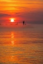 Mist Covered Beacon At Sunrise