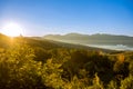 Sunrise on the Italian Countryside in Basicilata, in the South of Italy with sunflares Royalty Free Stock Photo