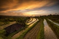 Sunrise at JatiLuwih Tabanan Bali Royalty Free Stock Photo