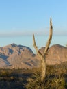 Sunrise in the Jebel Shams mountain, Oman