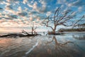 Driftwood Beach Sunrise Clouds Jekyll Island Georgia Royalty Free Stock Photo