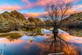 Sunrise in Joshua Tree National Park Royalty Free Stock Photo