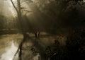 Sunrise on the jungle, Bardia national park, Nepal Royalty Free Stock Photo