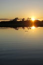 Sunrise in the jungle, Bolivia Royalty Free Stock Photo