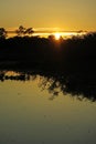 Sunrise in the jungle, Bolivia Royalty Free Stock Photo