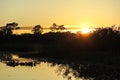 Sunrise in the jungle. Yacuma Natural Park, Bolivia Royalty Free Stock Photo