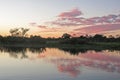 Sunrise in the jungle. Yacuma Natural Park, Bolivia Royalty Free Stock Photo