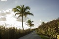 Sunrise in Jupiter Florida Royalty Free Stock Photo