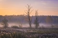 Sunrise in Kampinos Forest Royalty Free Stock Photo