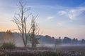 Sunrise in Kampinos Forest Royalty Free Stock Photo