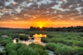 Sunrise at Kruger National Park Royalty Free Stock Photo