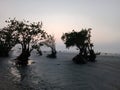 Sunrise Kuakata Bay of Bengal Royalty Free Stock Photo