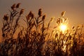 Sunrise at Lake Balaton