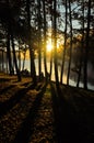 Sunrise on lake