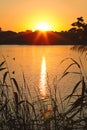 Sunrise at the lake with halo round