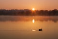 Sunrise at a lake with trees in the background