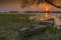 Sunrise landscape at Biebrza National Park, Poland.