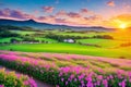 The sunrise landscape at the Dairy Farm has Mexican petunia flowers, colorful scenery, and a beauty farm.