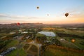 Balloons over vineyards in Pokolbin wine region at sunrise, Hunter Valley, NSW, Australia Royalty Free Stock Photo