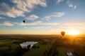 Balloons over vineyards in Pokolbin wine region at sunrise, Hunter Valley, NSW, Australia