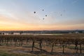 Balloons over vineyards in Pokolbin wine region at sunrise, Hunter Valley, NSW, Australia Royalty Free Stock Photo