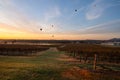 Balloons over vineyards in Pokolbin wine region at sunrise, Hunter Valley, NSW, Australia