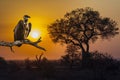 Sunrise landscape and vulture in Kruger National park Royalty Free Stock Photo