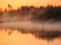 Sunrise landscape at the water, trees reflection in the lake on foggy morning, early morning reeds mist fog and water surface on t Royalty Free Stock Photo