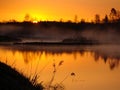 Sunrise landscape at the water, trees reflection in the lake on foggy morning, early morning reeds mist fog and water surface on t Royalty Free Stock Photo