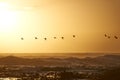 Sunrise landscape, waves and birds flying over ocean rocks, clouds and golden sky in beach. Morning, scenic view and Royalty Free Stock Photo